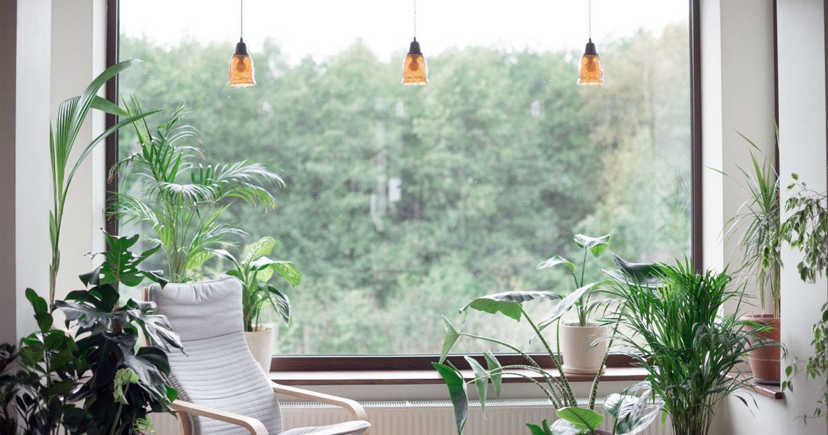 biophilic-decorating_1200x630_01